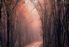 开运体育亚洲官网-团队精神的崛起：重要比赛进入白热化阶段